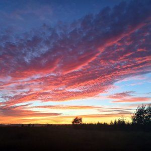 Meet your Posher, Sunny